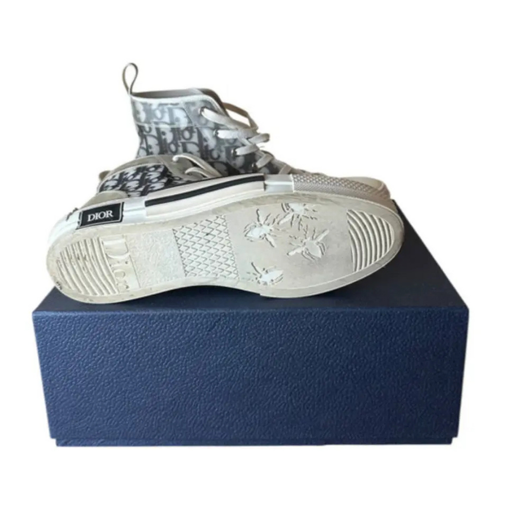 Dior B23 High Top Sneakers 
