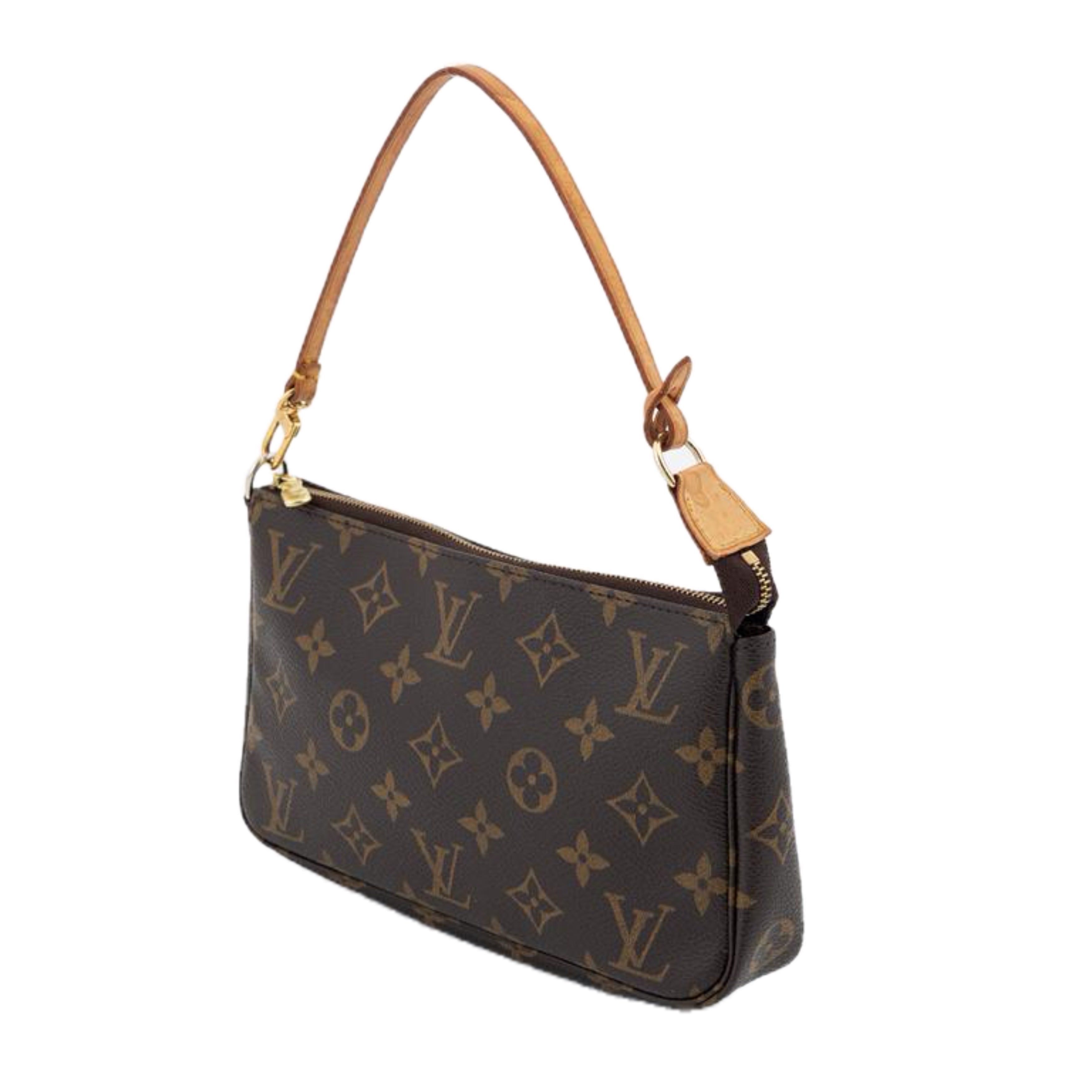 Louis Vuitton Pochette Accessories